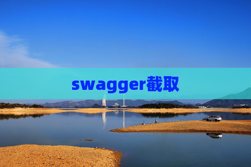 swagger截取